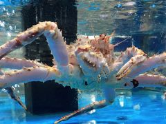 -麦德龙(郑东店)