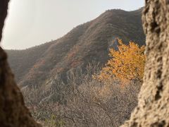 -晓院餐厅