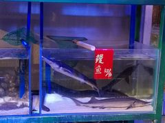 -十六蒲(桂林路店)