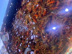 -聚盛源蒸汽海鲜火锅烤肉自助(巨川金海岸购物广场店)