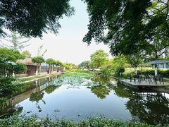-洪湖家庭农场·团建·露营·会议