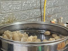 -爪爪西施