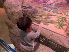 -沈阳海洋探索中心