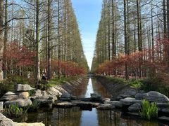 -东平国家森林公园