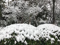 -南京航空航天大学(明故宫校区)