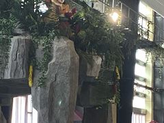 -南宫温泉水世界