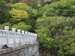 -白水寺森林公园