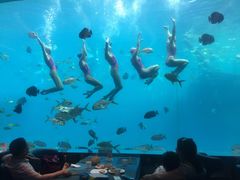 -瑞德姆美人鱼海底演艺主题餐厅(亚龙湾店)