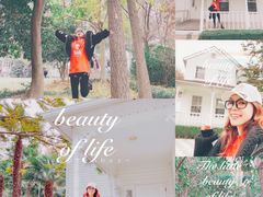 -上海银珠苑度假村-地面停车场