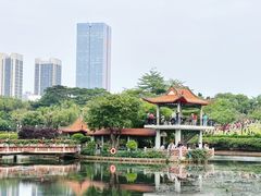 -深圳龙潭公园
