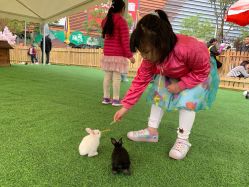 -萌宠亲子动物乐园(槐房万达店)