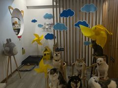 -柴迷FANS CLUB·柴犬狗咖·猫咖