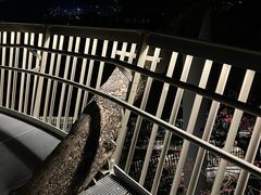 -福道