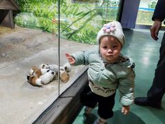 -苏州海洋馆