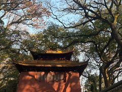 -普陀山风景名胜区-法雨禅寺