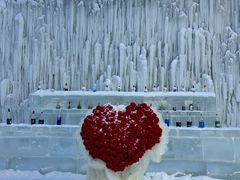 -长春世界雕塑园冰雪艺术天地