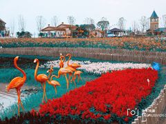 -花博汇(知音花月夜)