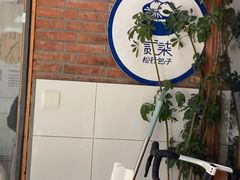 -贰柒松针包子