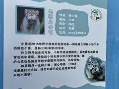 -青藏高原野生动物园