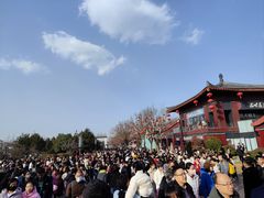 -大雁塔北广场音乐喷泉