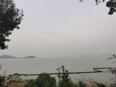 -上海市保健医疗中心