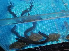-山海•蒸汽活海鲜自助(皇庭广场店)
