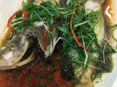 -四海之家(蛇口店)