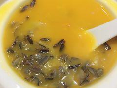 -宝燕壹号(徐汇店)