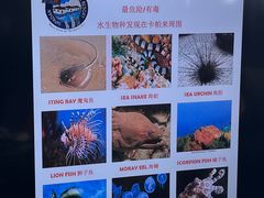 -卡帕莱度假村(西巴丹岛)