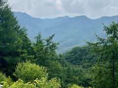 -洛阳白云山景区