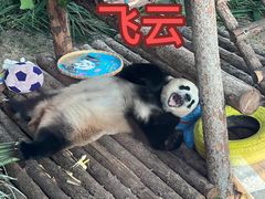 -大连森林动物园