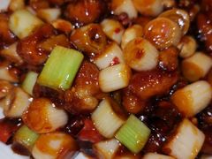宫保鸡丁-玉林烤鸭店(垡头店)