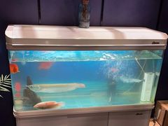 -梵SPA·影院足道·采耳(西藏北路店)