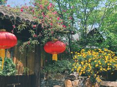 -鹅湖玫瑰文化园