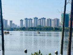 -飞来湖湿地公园