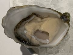 -Oyster Talks 四度蚝法餐厅