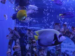 -太平洋海底世界