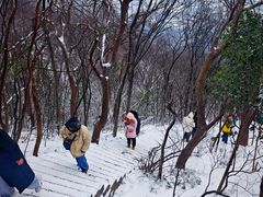 -紫金山山顶公园