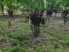 -杭州城北体育公园