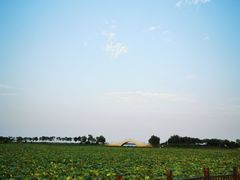 -天津东丽湖风景区