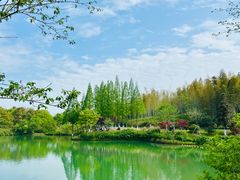 -宜兴龙背山森林公园
