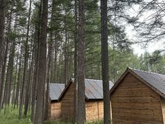 -御道口草原森林风景区