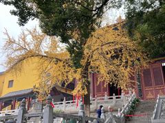 -宝通禅寺