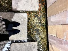 -邈墨茶馆(凤起路店)