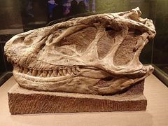 -自贡恐龙博物馆