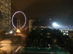 -新加坡文华东方酒店