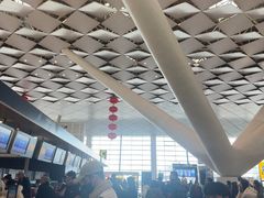 -郑州新郑国际机场-T2航站楼