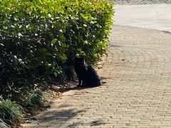 -长广溪湿地公园