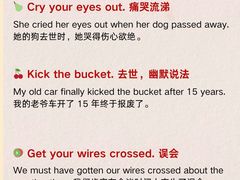 -I-Shine英语国际教育(御桥张江中心)