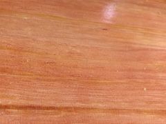 -有家生煎(三里屯店)